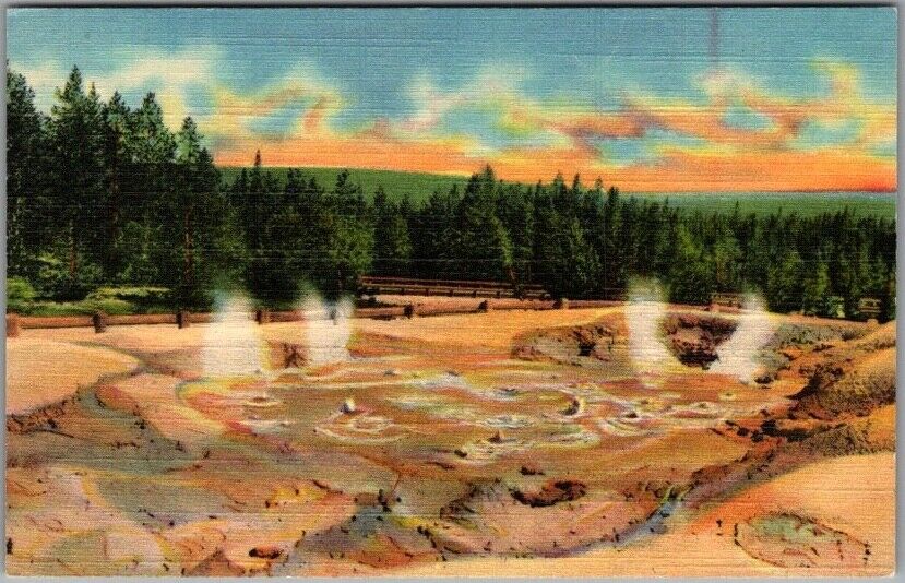 1939 YELLOWSTONE NATIONAL PARK Postcard \