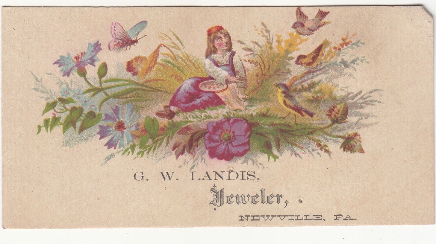 G W Landis Jeweler Newville PA Girl Grasses Birds  Vict Card c1880s
