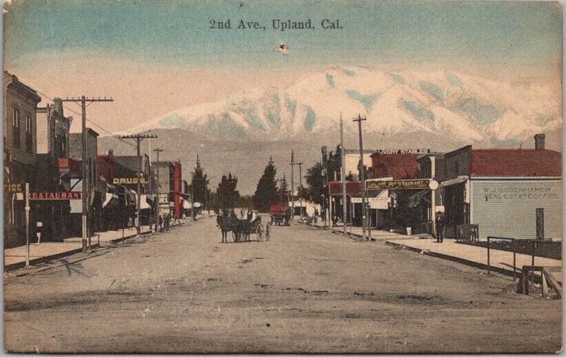 Vintage 1909 UPLAND, California Hand-Colored Postcard \