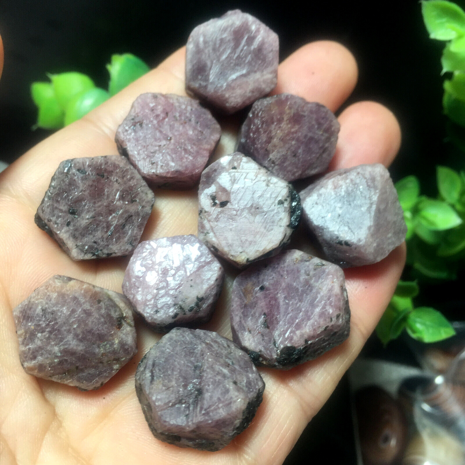 65g 8pcs Natural Fuchsia Corundum Ruby Crystal Rough Mineral Specimen Healing 19