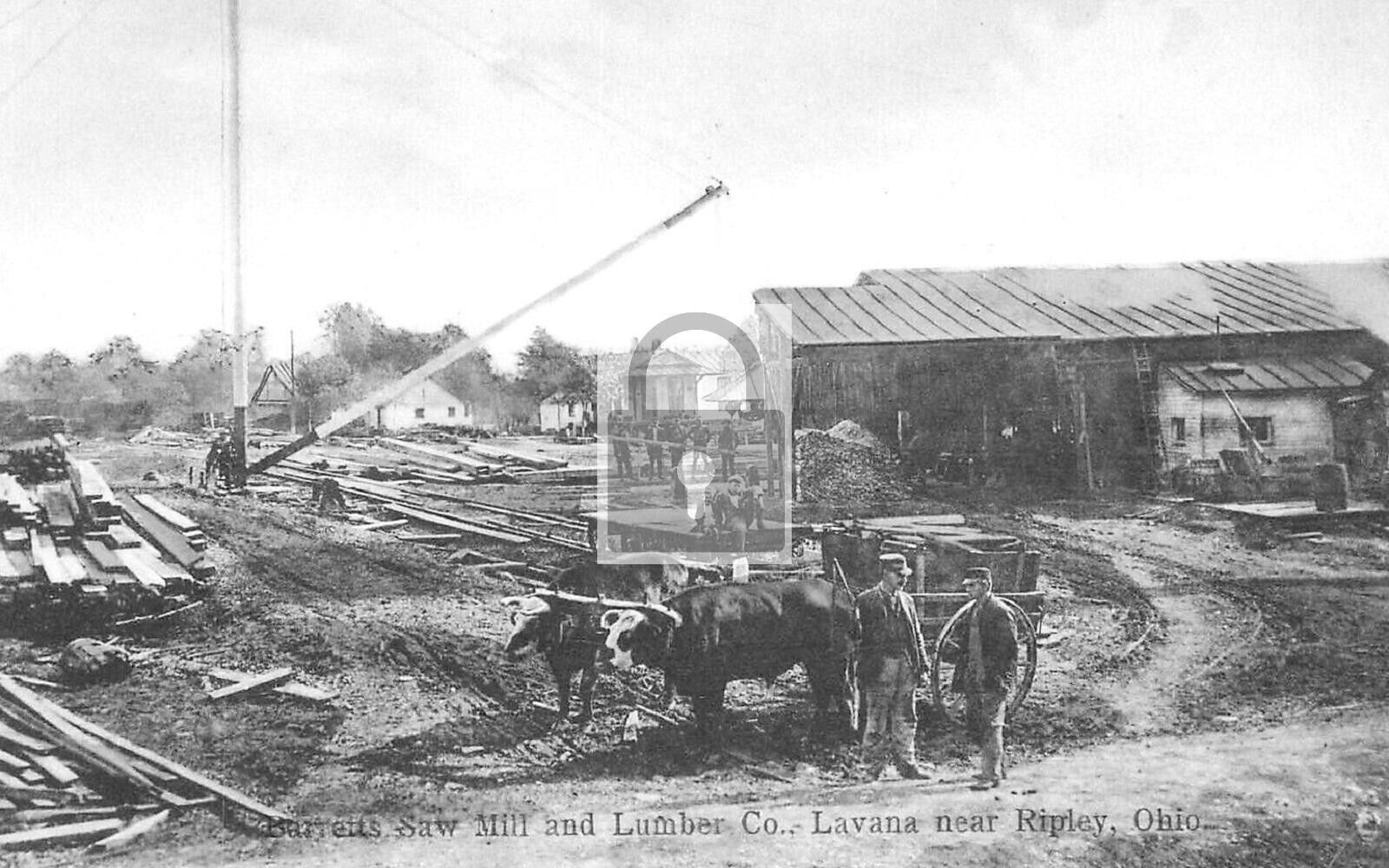Barretts Saw Mill Lumber Co Logging Lavana Ripley Ohio OH Reprint Postcard