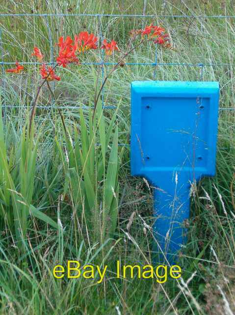 Photo 6x4 Roadside red and blue Bowmore\\/Bogh M\\u00f2r A mains water mark c2006