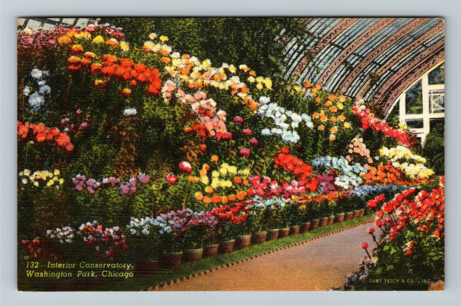 Chicago IL-Illinois, Interior Conservatory, Washington, Vintage Postcard