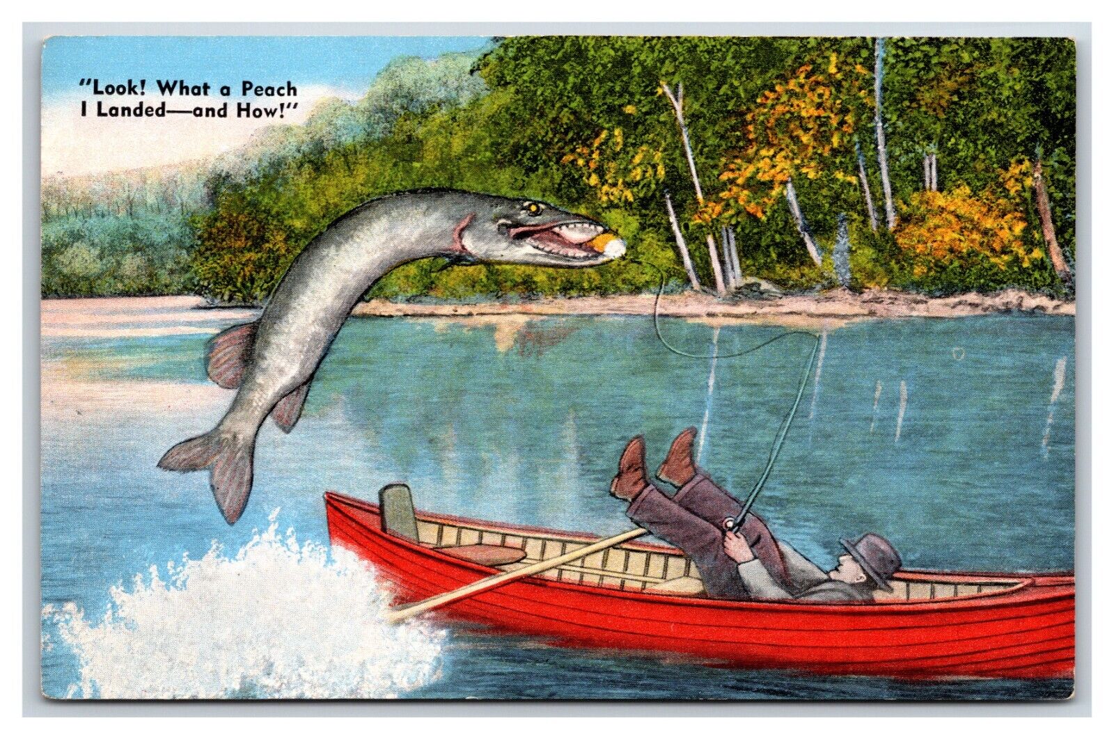 Comic Exaggeration Fisherman Look What A Peach I Landed UNP  Linen Postcard U15