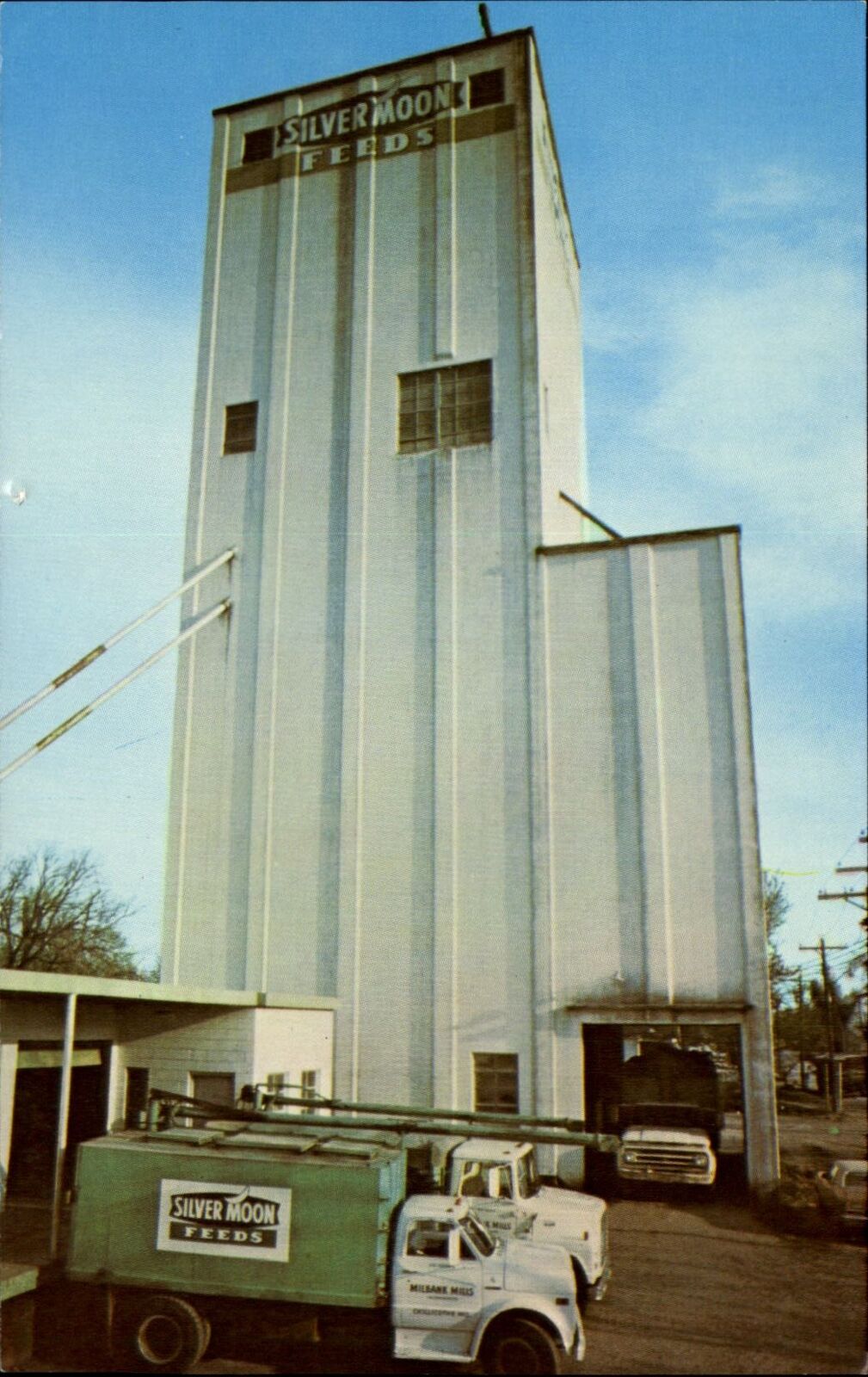 Silver Moon Feeds ~ Milbank Mills grain storage~Chillicothe Missouri MO~1970s