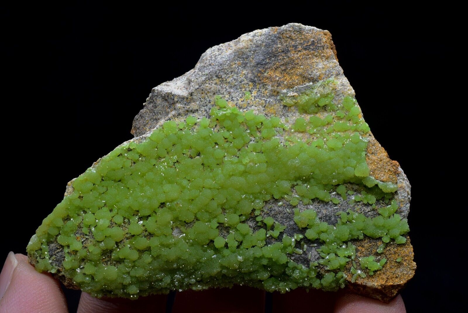 43g TOP Natural Pyromorphite Crystal Cluster collection Mineral Specimen China