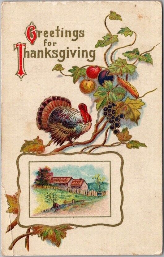 Vintage THANKSGIVING Gel Postcard Turkey / Farm House Scene - 1916 Cancel