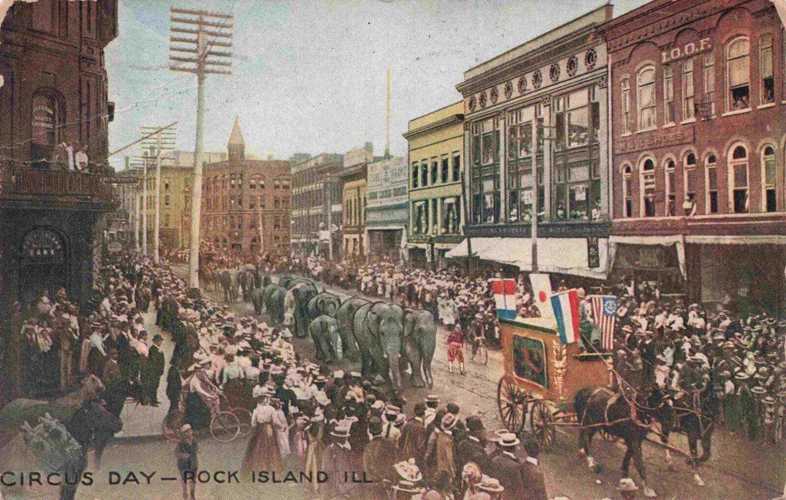 c1912 Rock Island Illinois Circus Day Elephants Crowd Watches Parade IL Postcard