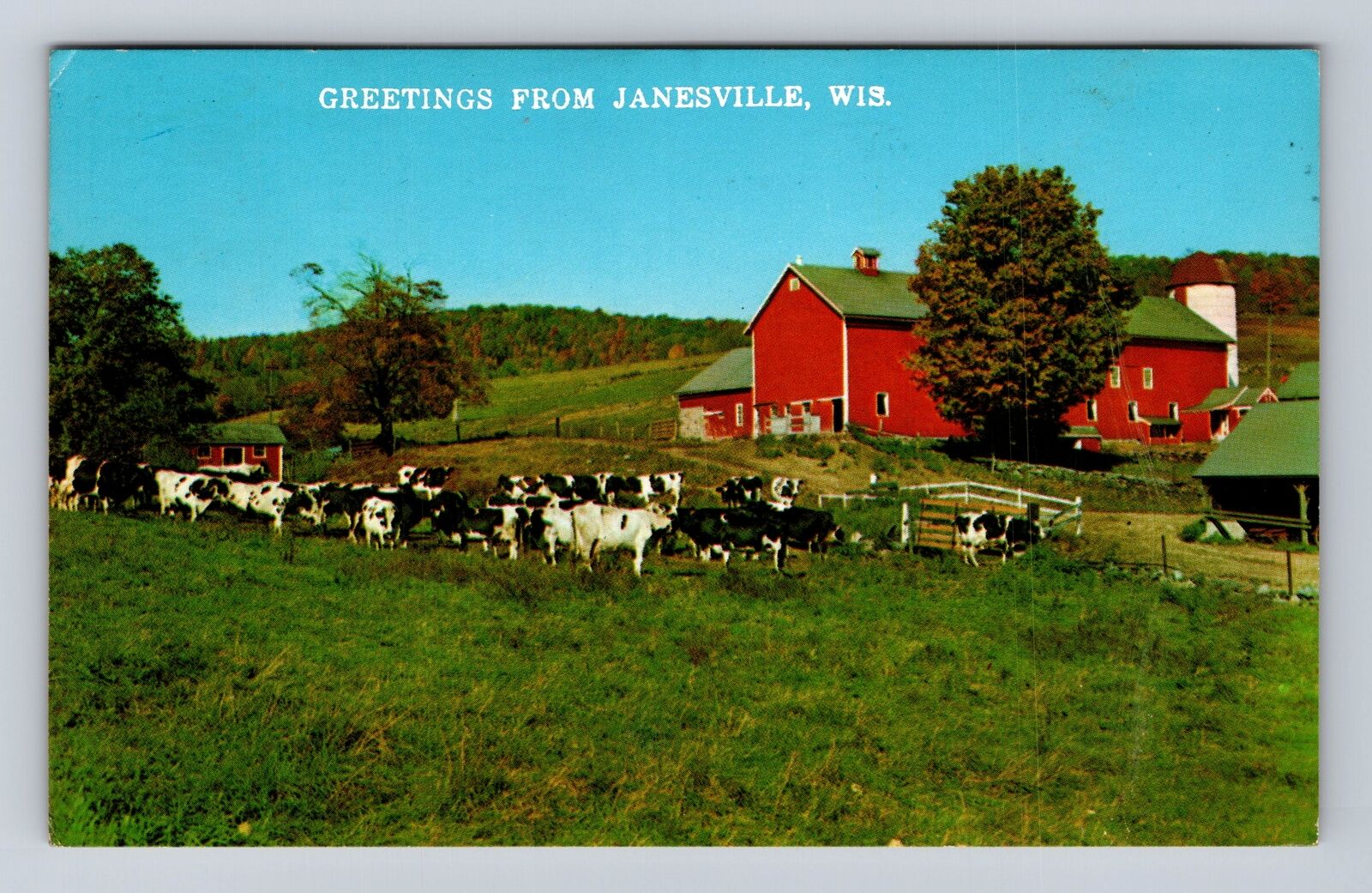 Janesville WI-Wisconsin, Scenic Greetings, Cows Grazing, Vintage Postcard