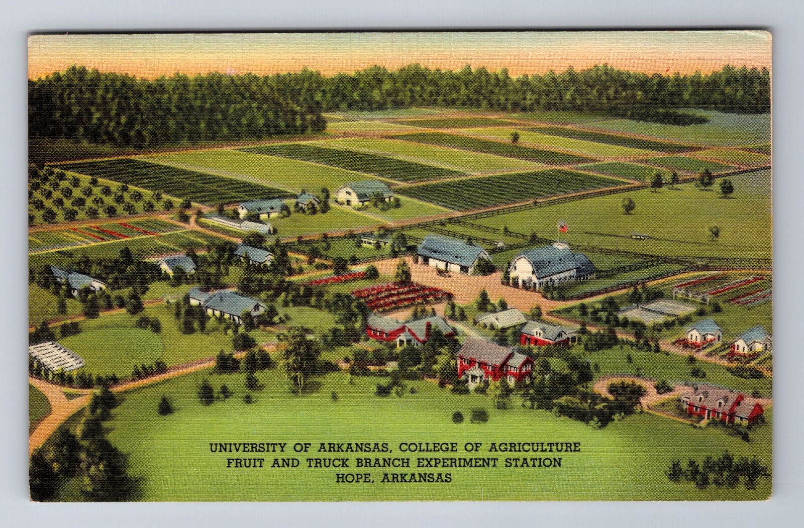 Hope AR-Arkansas, University Of Arkansas Fruit & Truck, Vintage c1944 Postcard