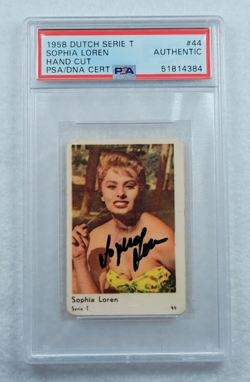Rare 1958 SOPHIA LOREN Signed Dutch Serie T Trading Card-Legendary Actress-PSA