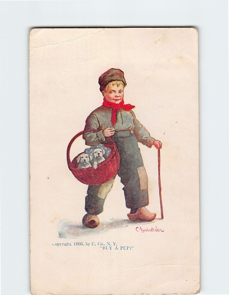 Postcard Little Boy with Basket of Puppy Art Print \