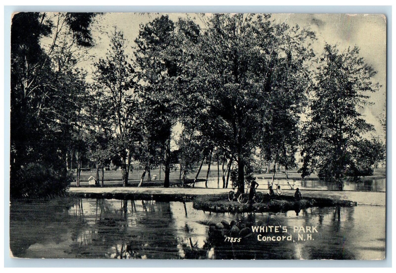 c1910\'s White\'s Park Scene Concord New Hampshire NH Unposted Trees Postcard