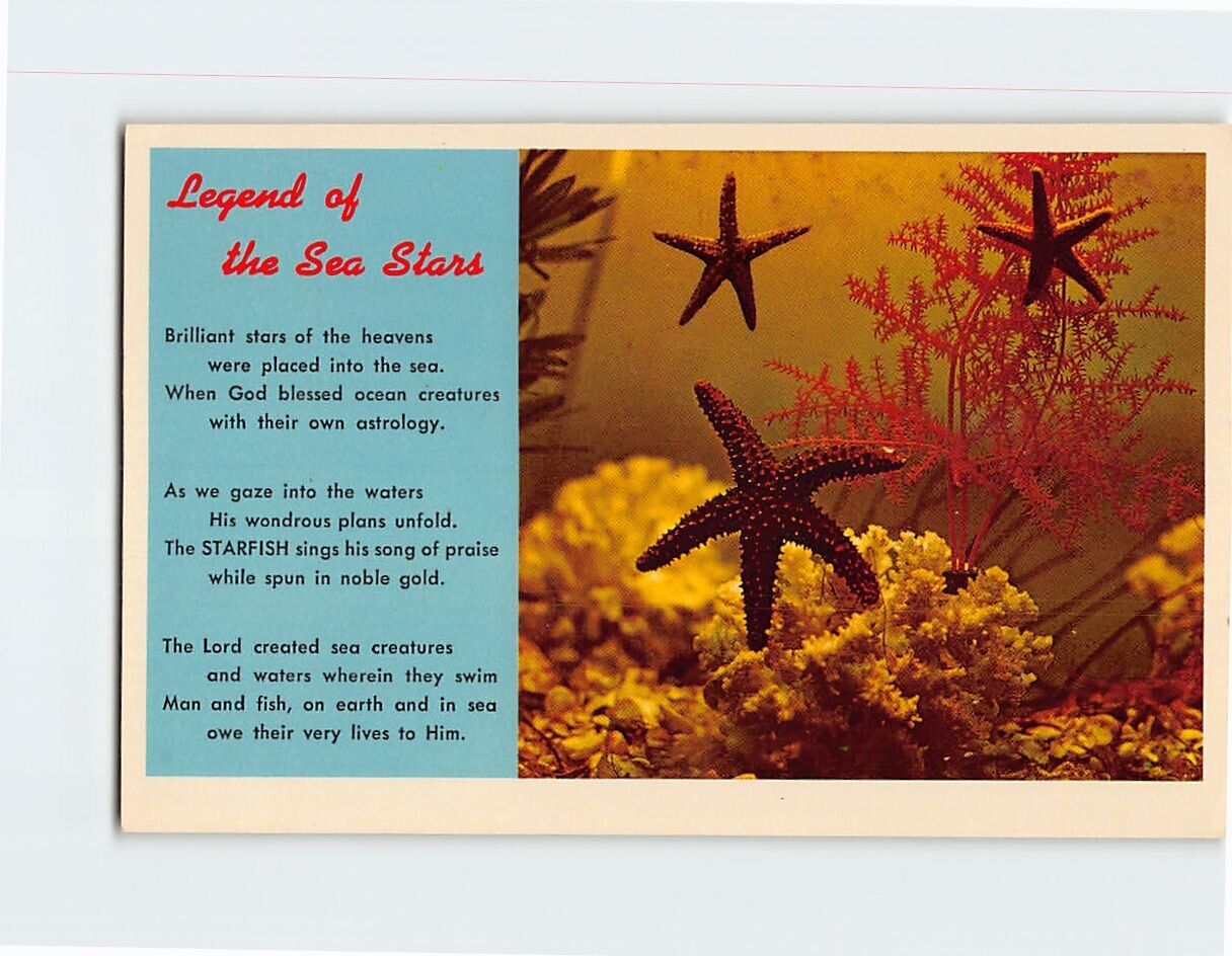 Postcard Legend of the Sea Stars