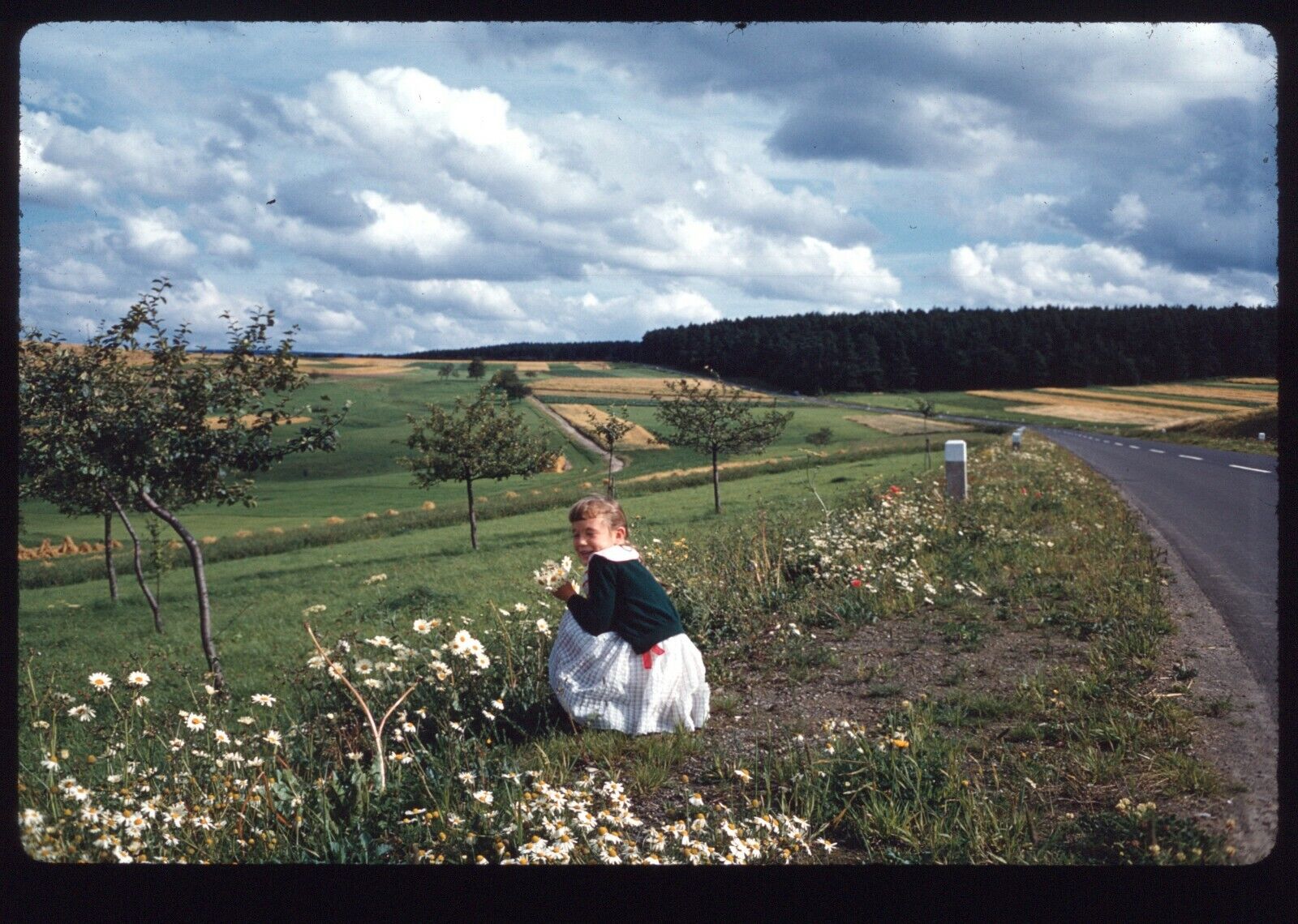 1950s Girl Picking Flowers Roadside German Alps 35mm Red Border Slide