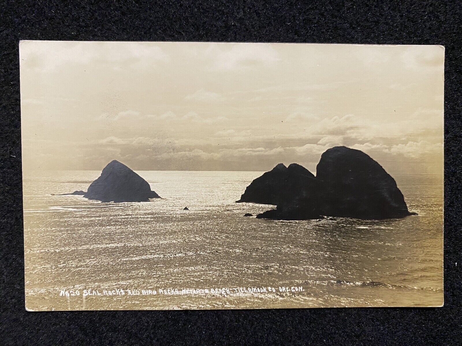 Netarts Oregon OR Three Arch Rocks Tillamook Co Antique RPPC Real Photo Postcard