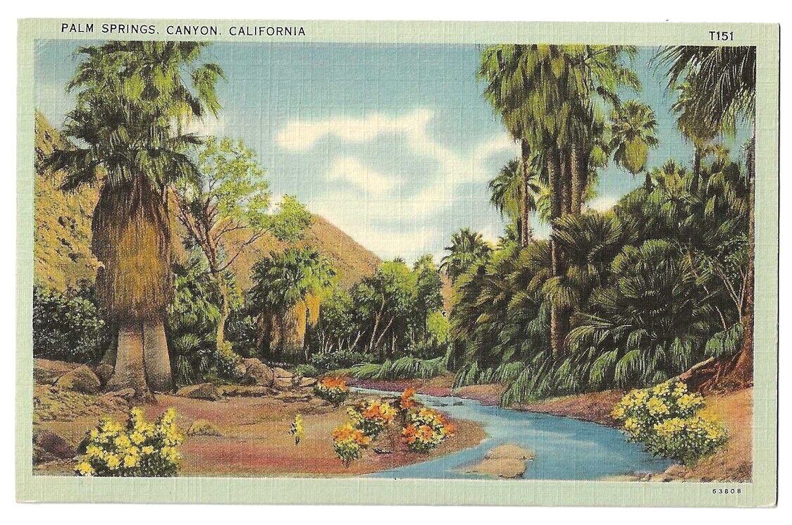 Palm Springs California c1940\'s Palm Canyon oasis, stream, Washington Palm Trees