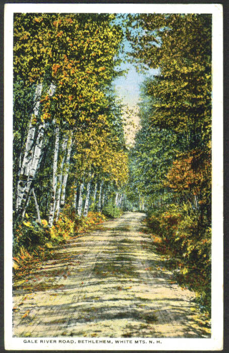 Gale River Road Bethlehem NH postcard 1918