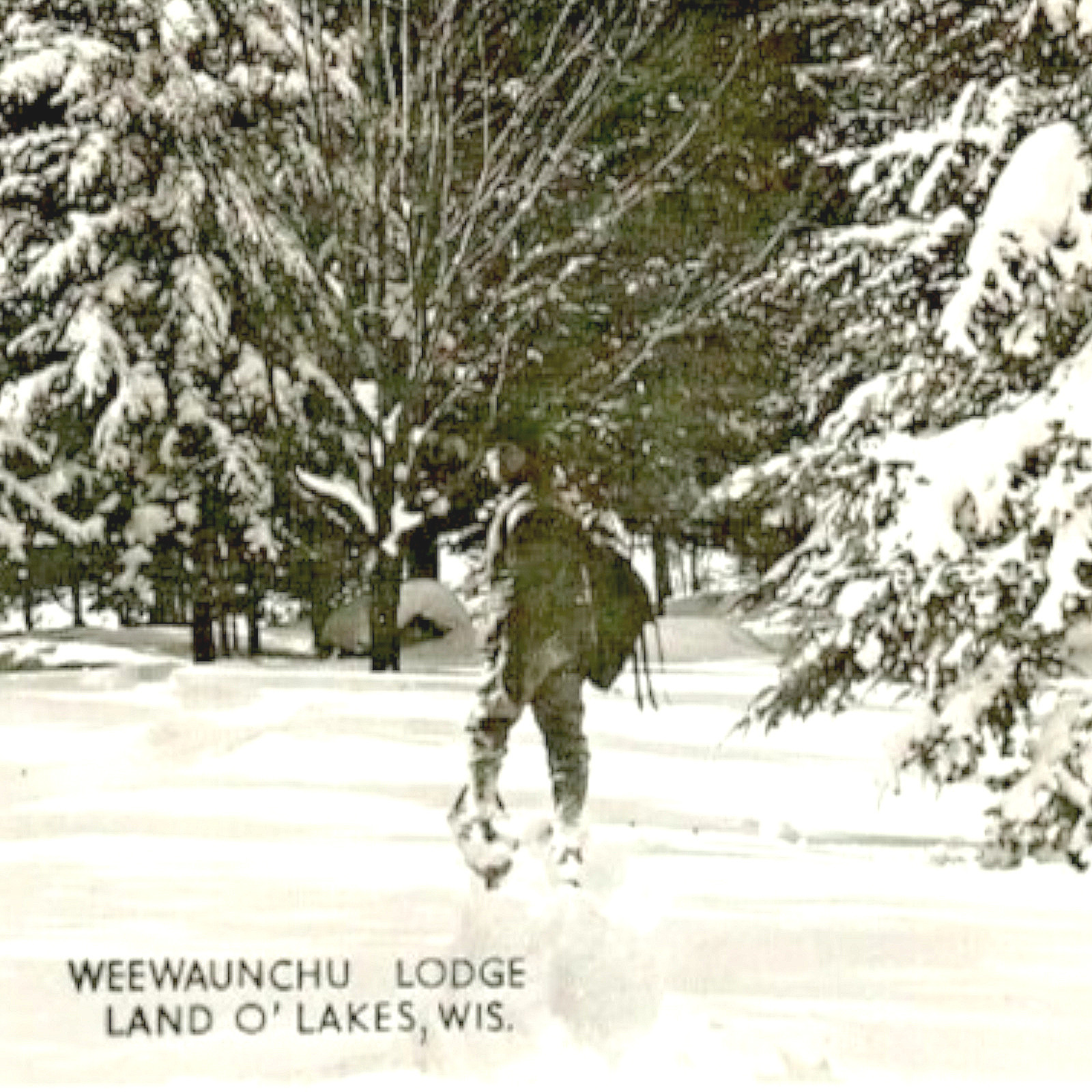 Land O Lakes WI RPPC Postcard 1940s Weewaunchu Lodge Trapper Hiker Snowshoes