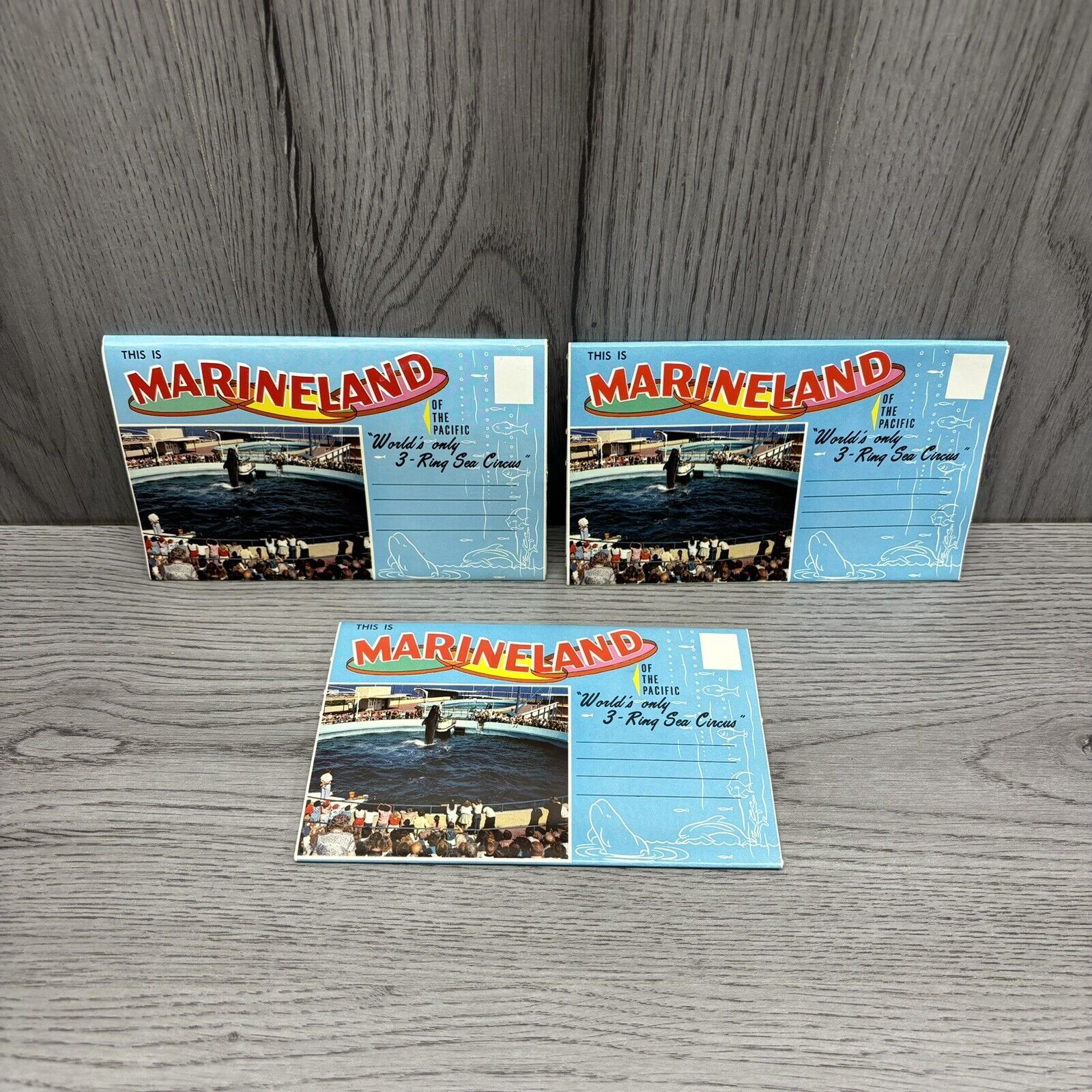VTG 1960\'s Marineland of the Pacific Postcards Booklet Dolphins Seals Whale x3
