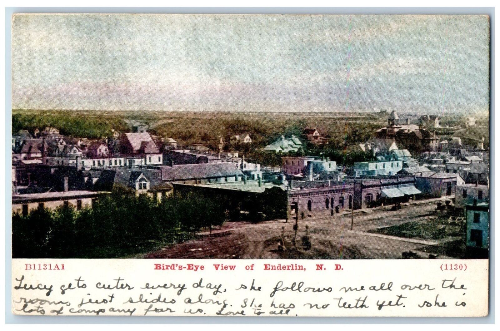 Enderlin North Dakota ND Postcard Bird\'s Eye View Of	Residence Section 1911
