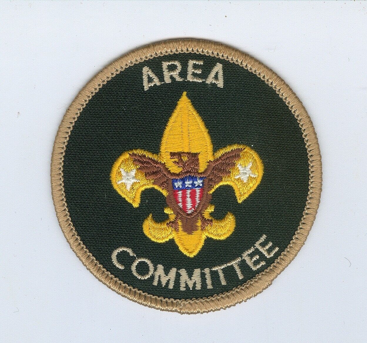 EXCELLENT Older Boy Scout Area Committee Patch