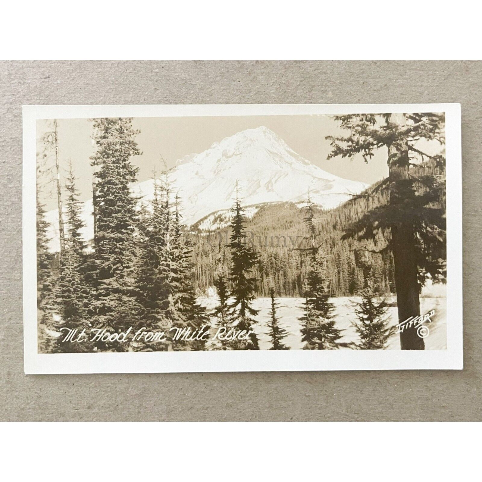 Vintage 1920s Mt. Hood from White River Oregon Photo By Benjamin A Gifford