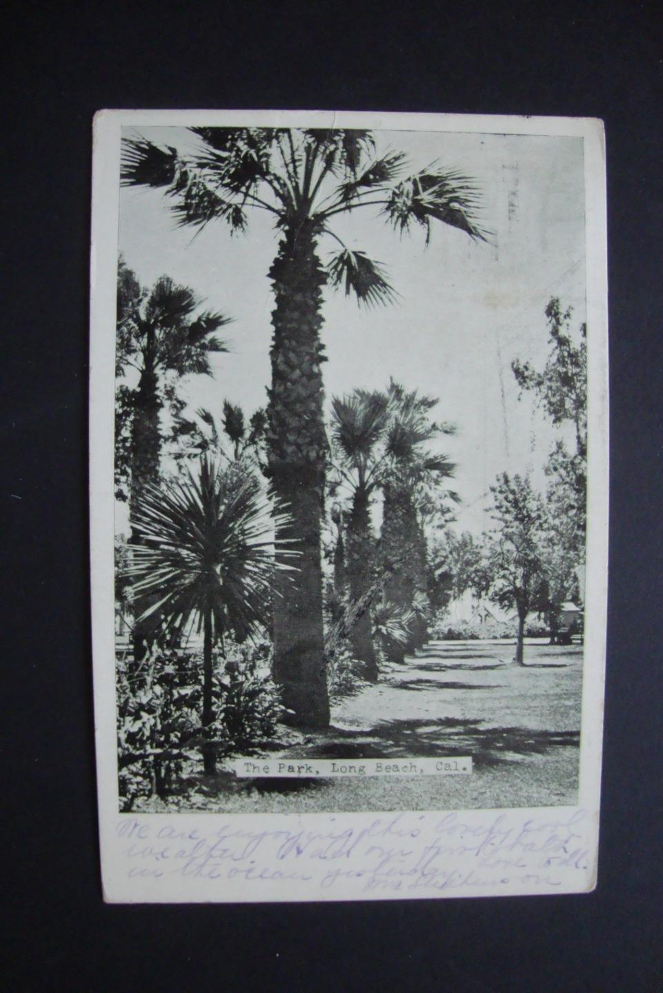 Railfans2 *923) 1912 Posted Postcard, Long Beach California, The Park, Palm Tree