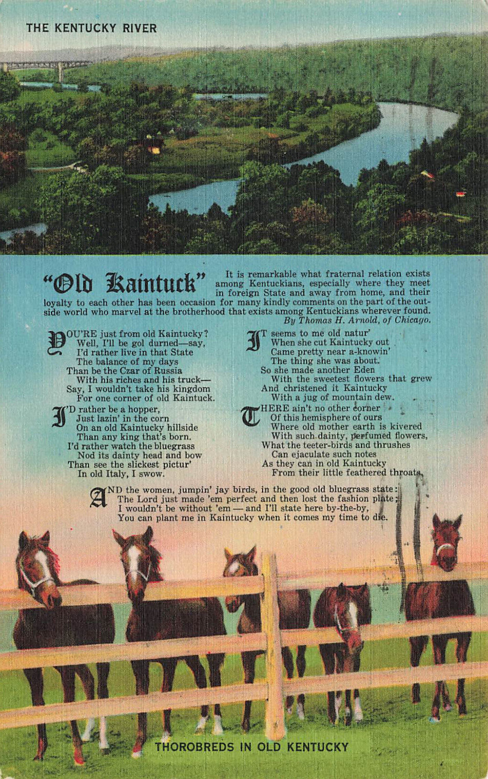 KY RIVER & THOROBREDS WITH OLD KAINTUCK POEM POSTCARD KY KENTUCKY 1940s