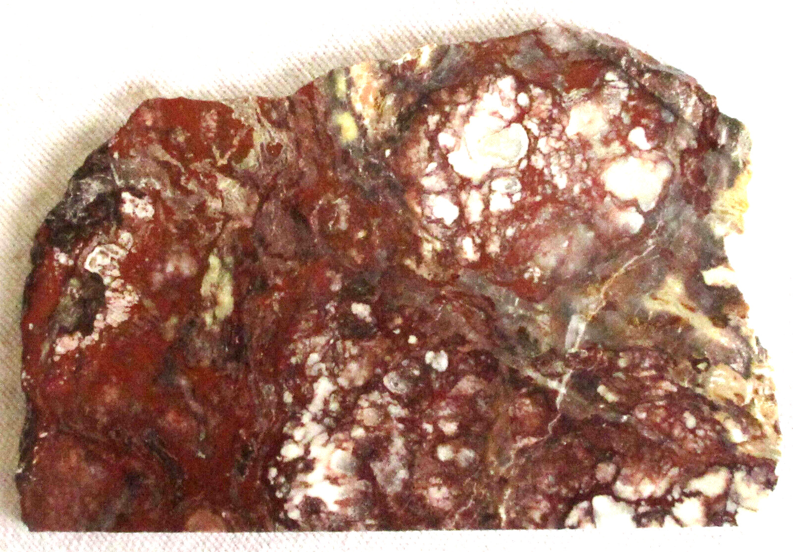 Wild Horse Magnesite Slab - 175 Grams - Arizona - WildHorse