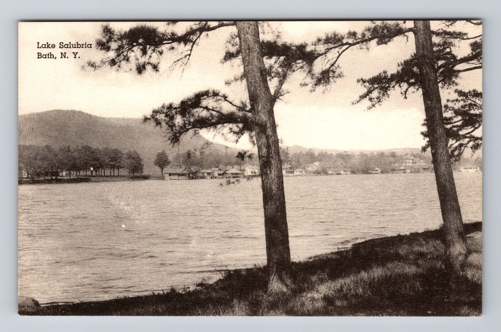Bath NY-New York, Lake Salubria, Trees, Antique, Vintage Postcard