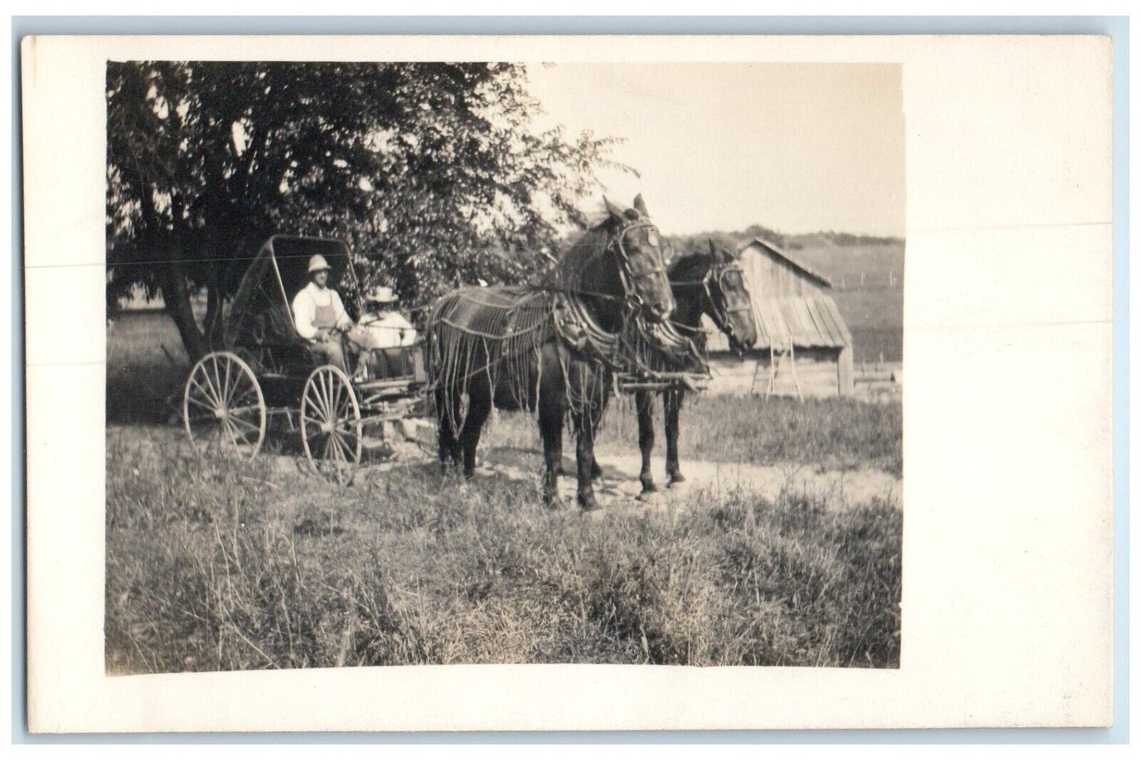 c1910's Horses Carriage Scene Field Hut RPPC Photo Unposted Antique Postcard