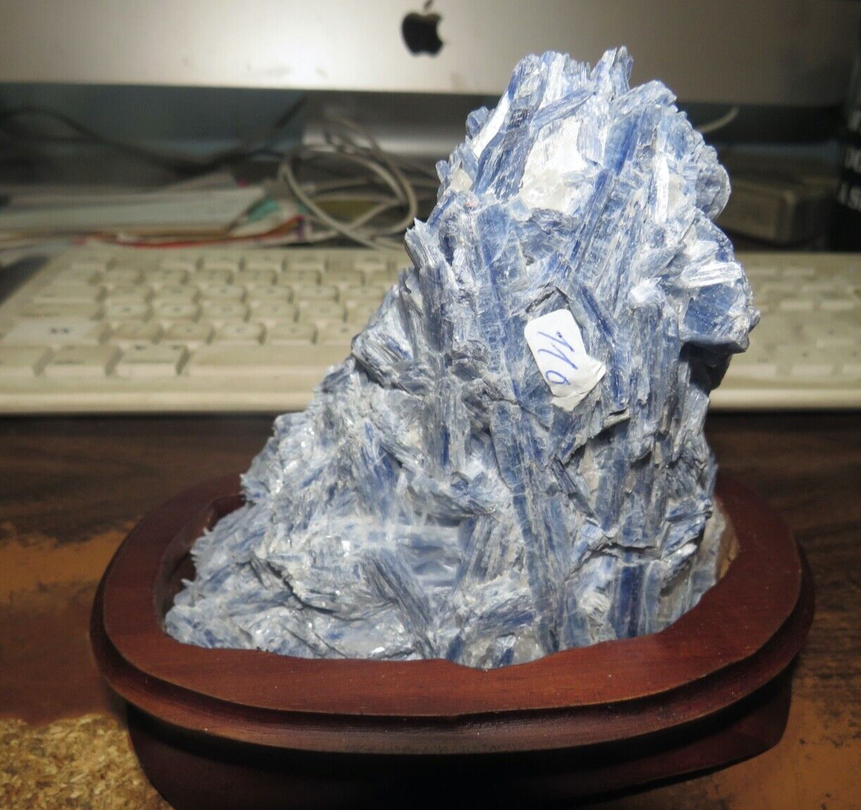 GORGEOUS LARGE SPECIMEN OF BLUE KYANITE IN A WOOD STAND