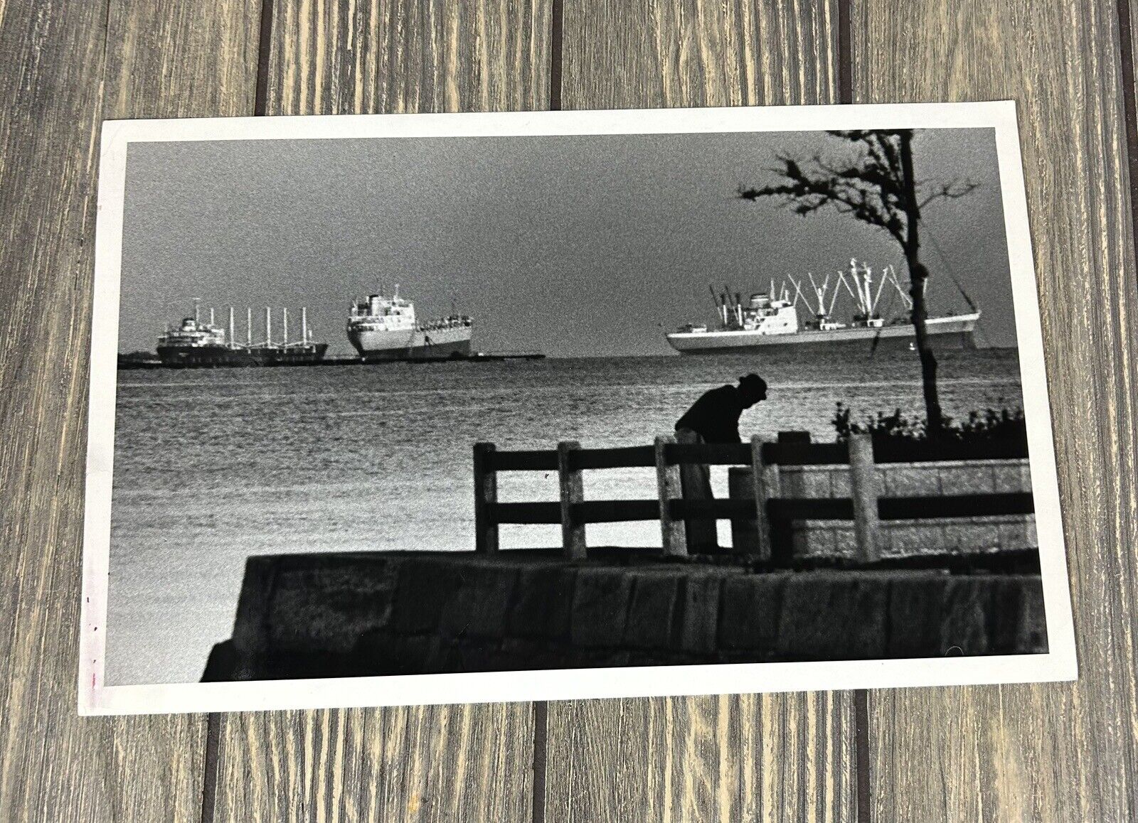 Vintage 1969 Ships Coming And Going In Charlestons Busy Sea Port Photograph 