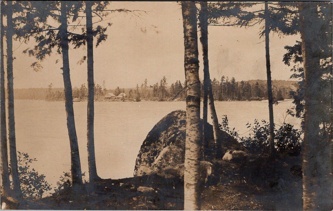 Shoreline View, SCHOODIC LAKE, Maine Real Photo Postcard