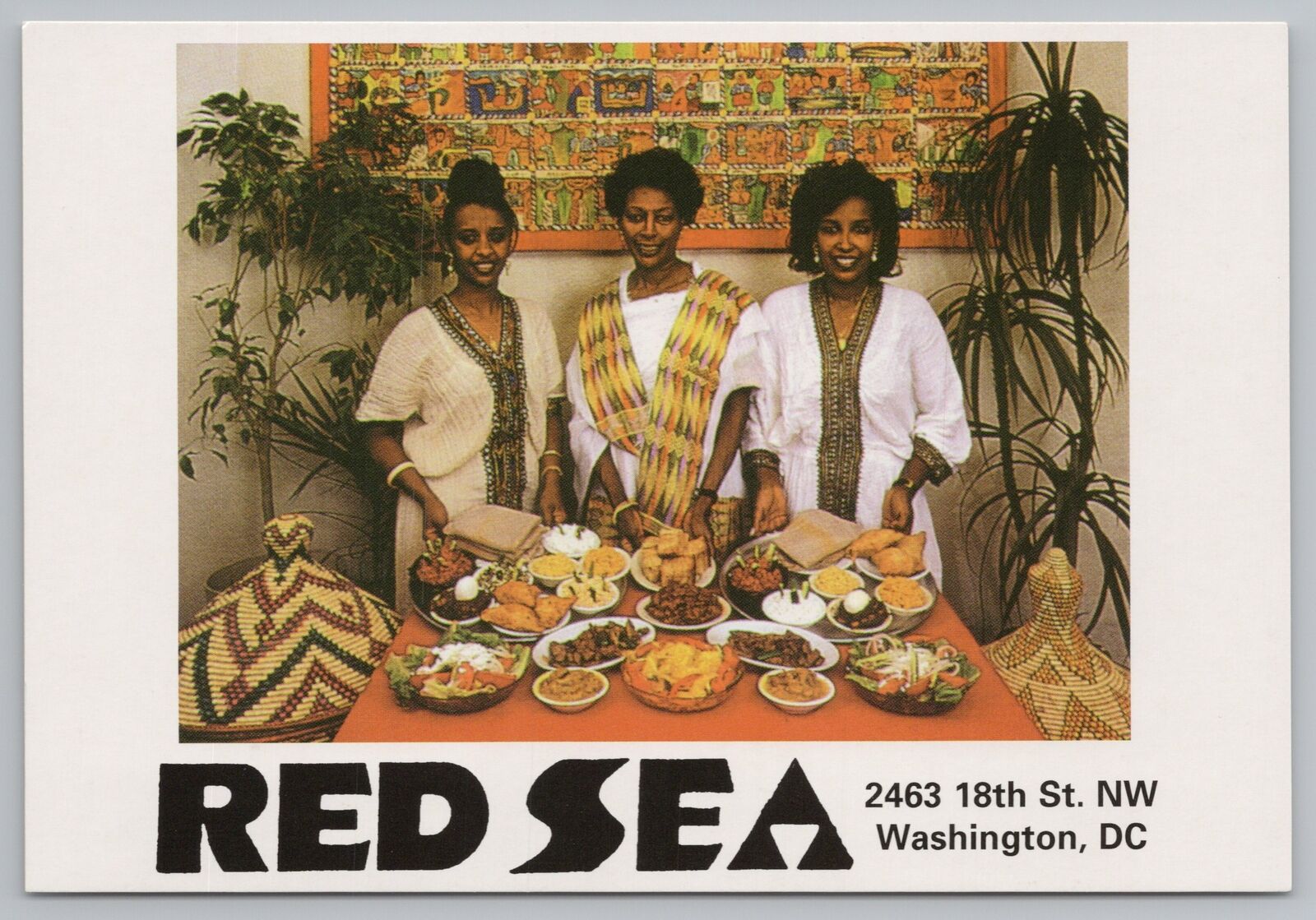 Roadside~Red Sea~Dinner Served~Washington DC~Continental Postcard