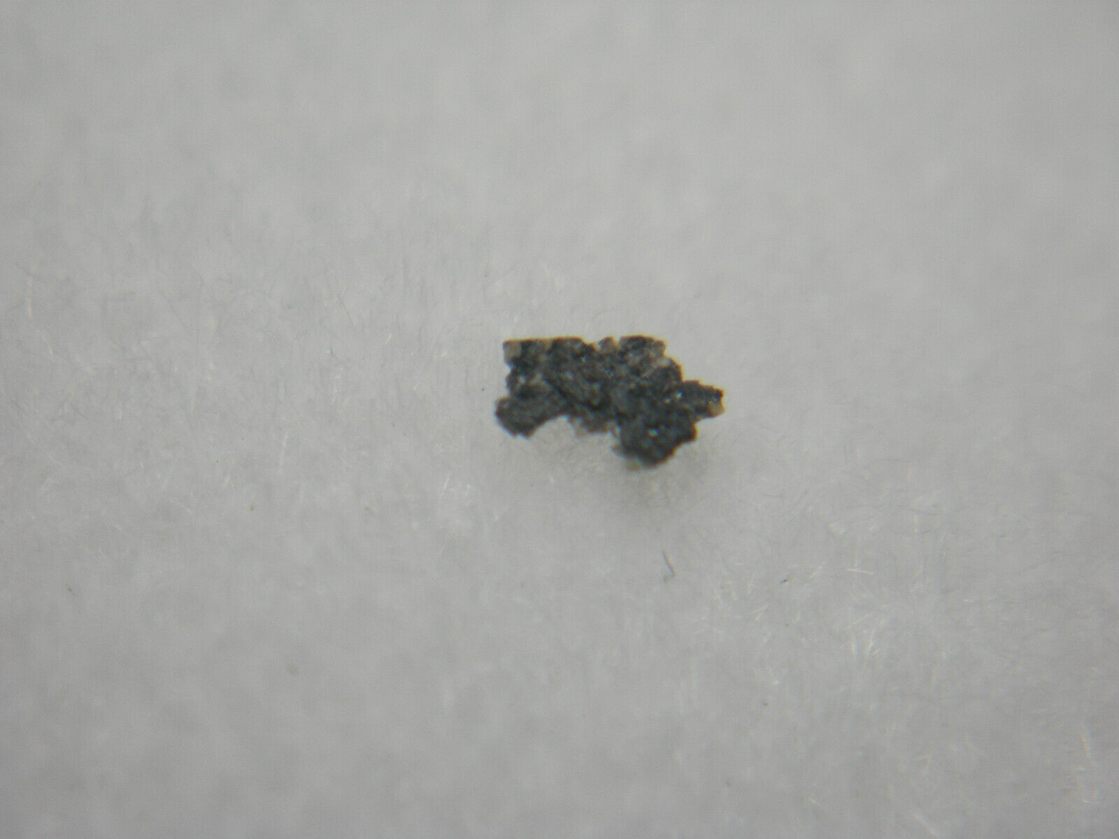 NWA 4884 LUNAR Meteorite Northwest Africa RARE basalt-rich breccia Moon IMCA