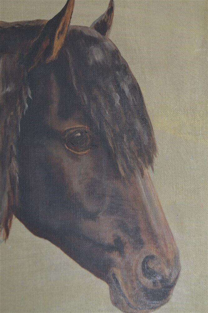 antique horse head portrait painting 12x14 canvas by AD Magoon 1895 original 