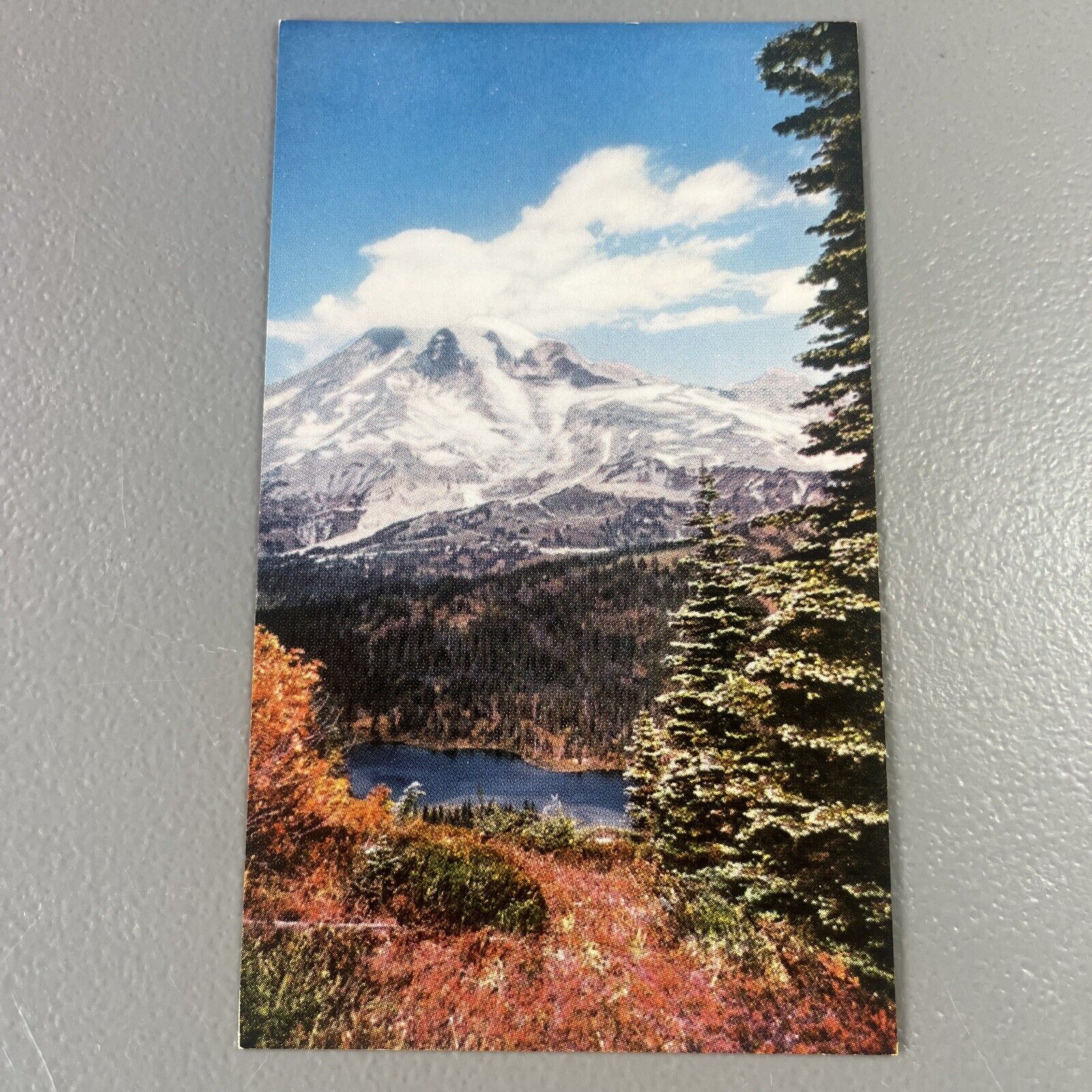 Mount Rainier National Park WA Scenic View Vintage Postcard Unposted