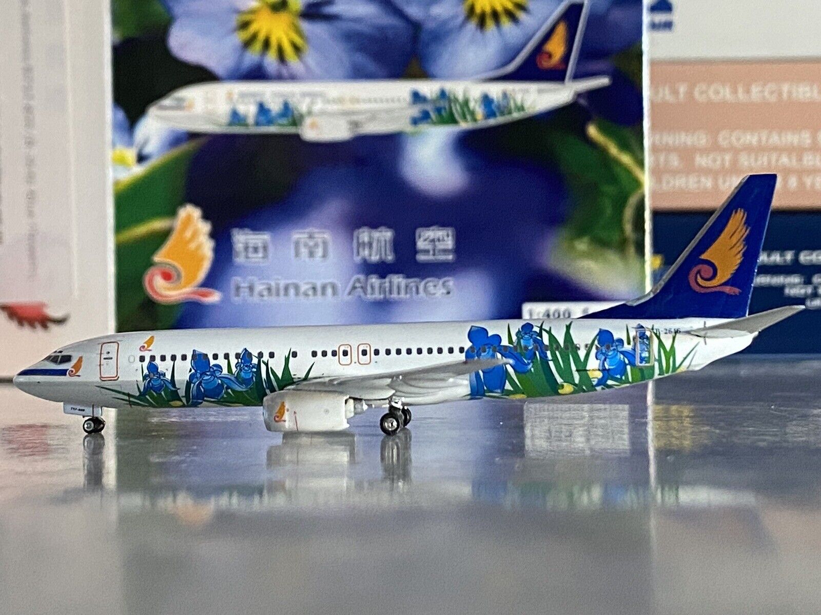 Phoenix Models Hainan Airlines Boeing 737-800 1:400 B-2646 Blue Flowers