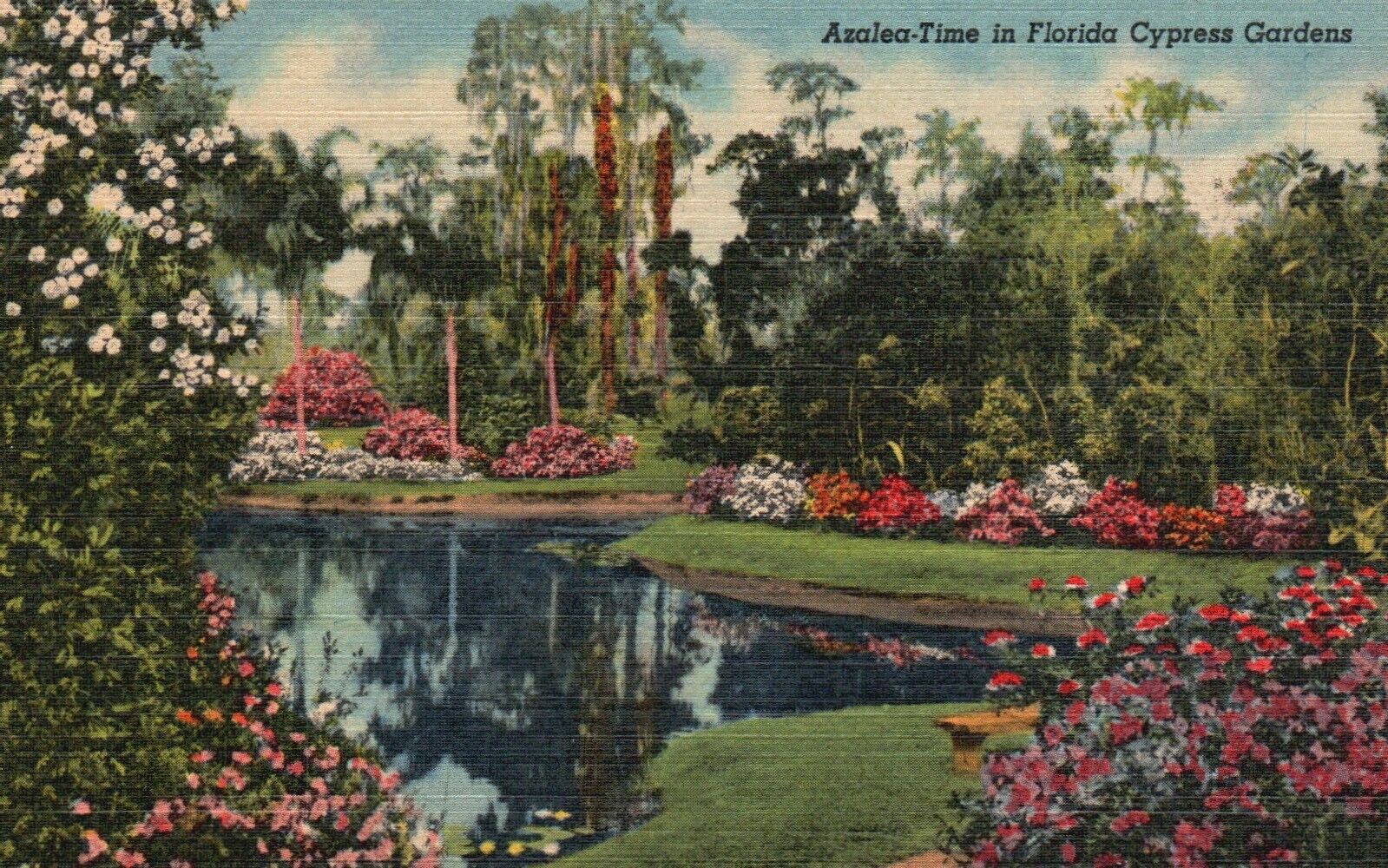 Postcard FL Cypress Gardens Florida Azalea Time 1946 Linen Vintage PC G1288