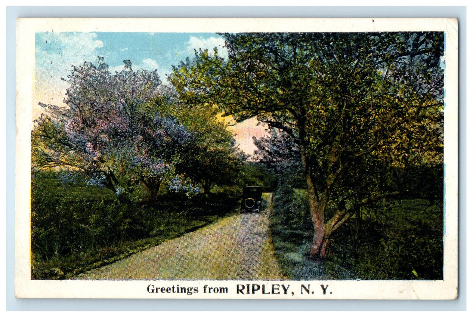1923 Road View Greetings from Ripley New York NY Posted Vintage Postcard