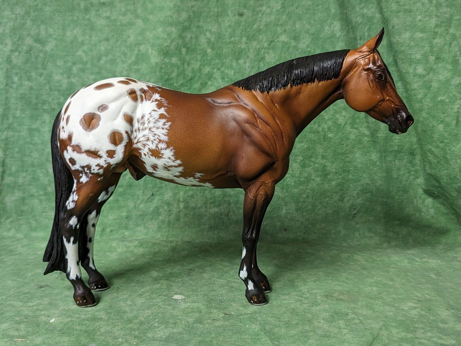 RARE CM Resin** CADILLAC JACK ** Gorgeous Bay Appaloosa   Model Horse 