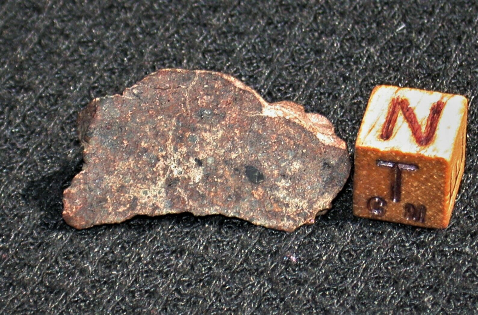 Very Nice NWA chondrite meteorite end cut -  8.2 g \