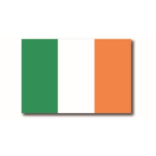 Ireland Irish Flag Magnet 4x6 inch International Flag Decal Great for Car/Fridge