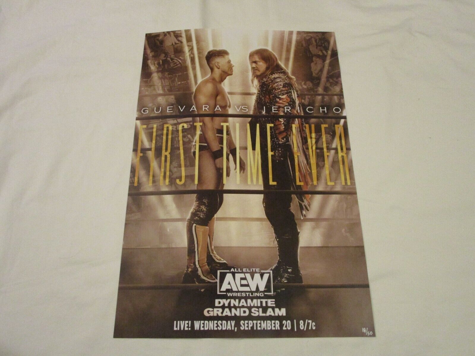 AEW All Elite Wrestling Sammy Guevara Chris Jericho 12x18 Poster Dynamite 18/50
