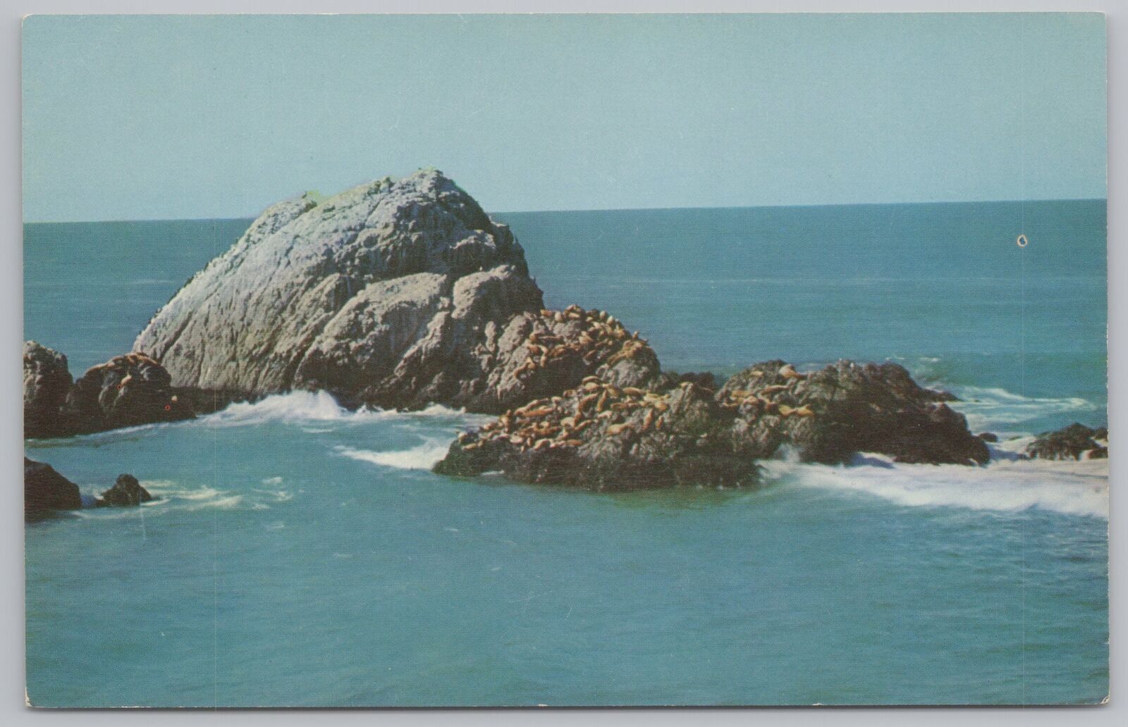 Animal~Air View Seal Rocks From Cliff House~Vintage Postcard