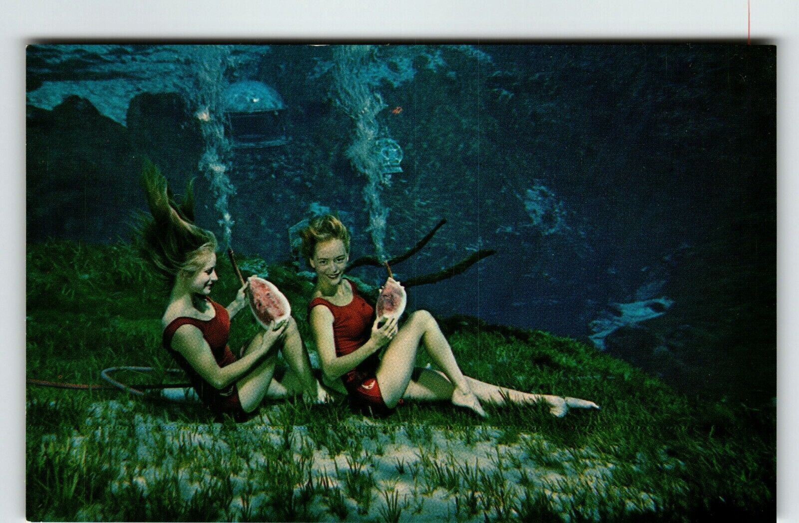 Weeki Wachee Mermaids Florida Postcard Women Underwater Eating Watermelon Act