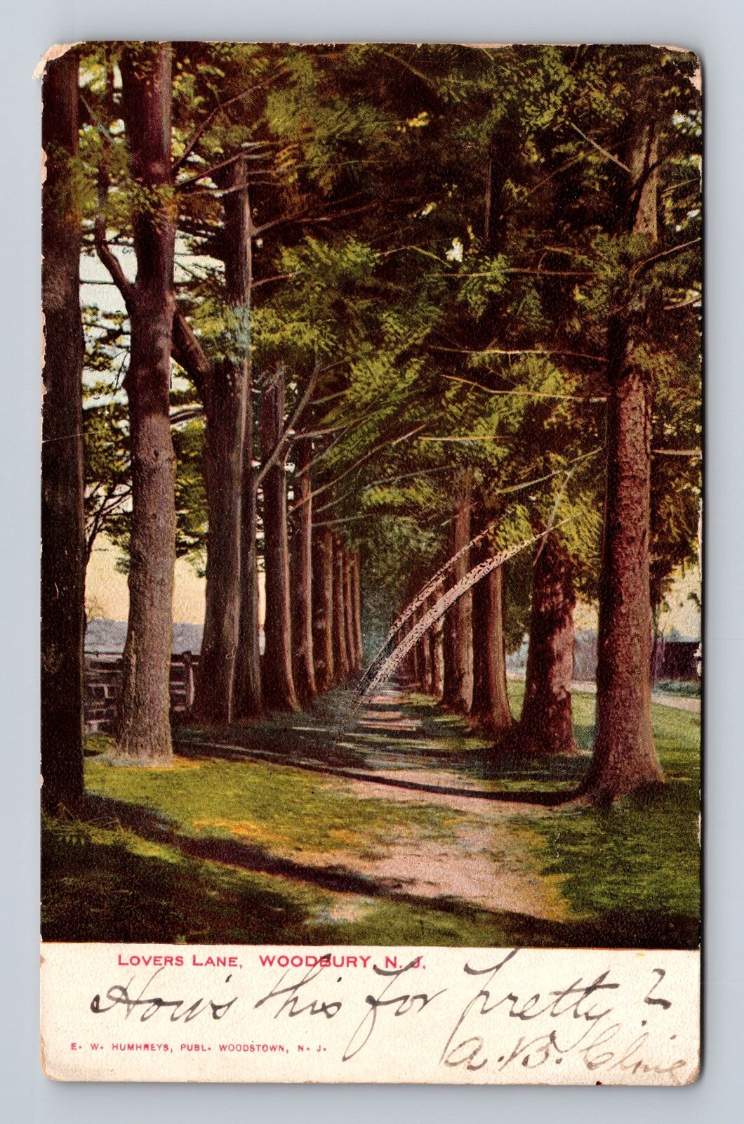 Woodbury NJ-New Jersey, Lovers Lane, Antique Vintage Souvenir Postcard