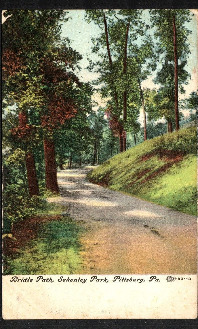 Pittsburg PA Postcard Schenley Park Bridle Path I.P.C.N. DB Posted 1908
